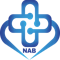 Logo PT Nusantara Alkesindo Berdikari